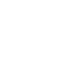 ViveHG